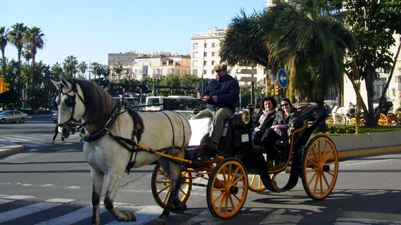 Primera imagen de Daimiel a Caballo