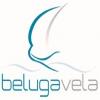Segunda imagen de Beluga Vela