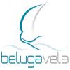 Primera imagen de Beluga Vela